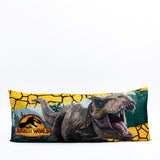 Pakar.com | Tienda online - Almohadas y cojines Providencia - Envío gratis desde $500