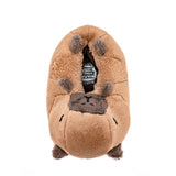 Pantufla Unisex Infantil Parvus