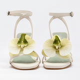Zapatilla Clasben para Mujer