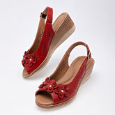 Cruz Shoes