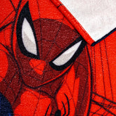 Providencia Spiderman