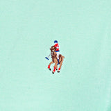 Polo Houston