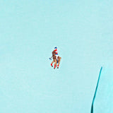 Polo Houston