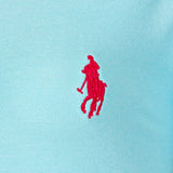 Polo Houston