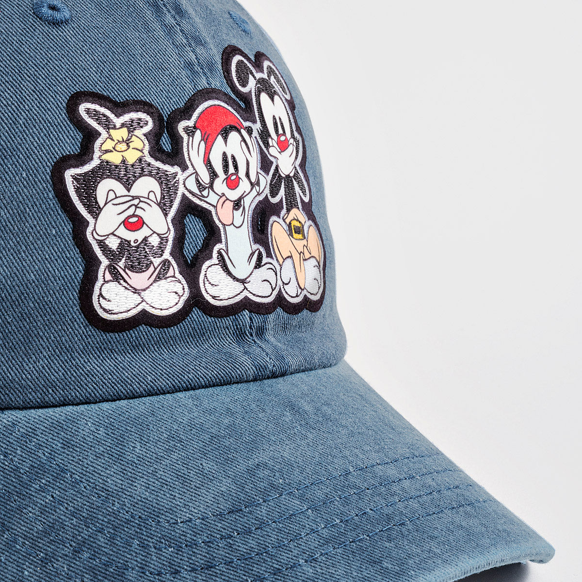 Gorra de Animaniacs Unisex marca Dadivit cod. 110350