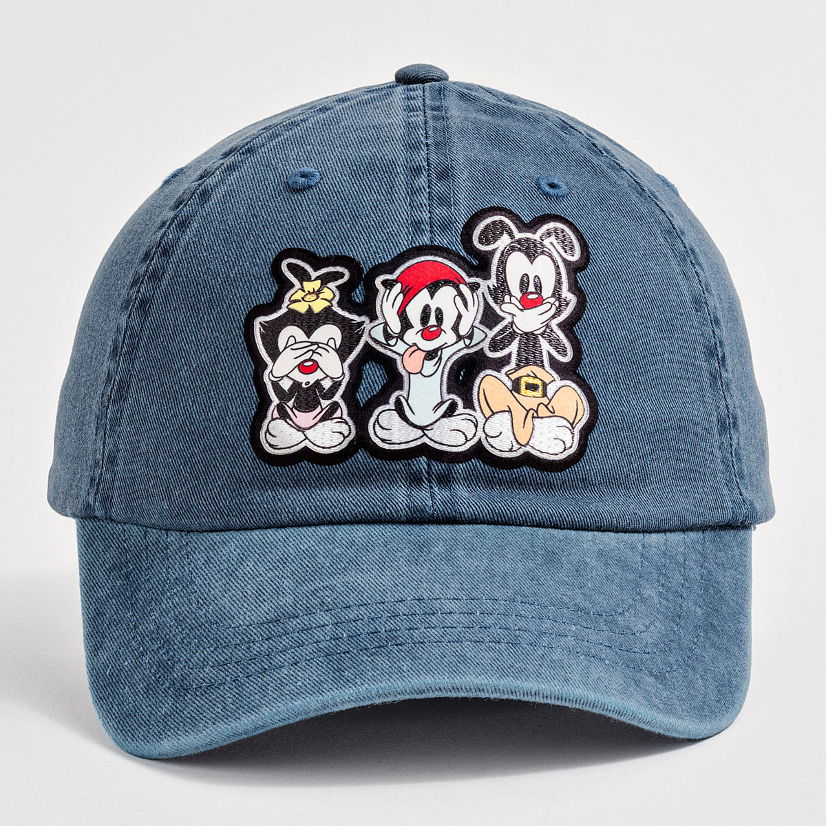 Gorra de Animaniacs Unisex marca Dadivit cod. 110350