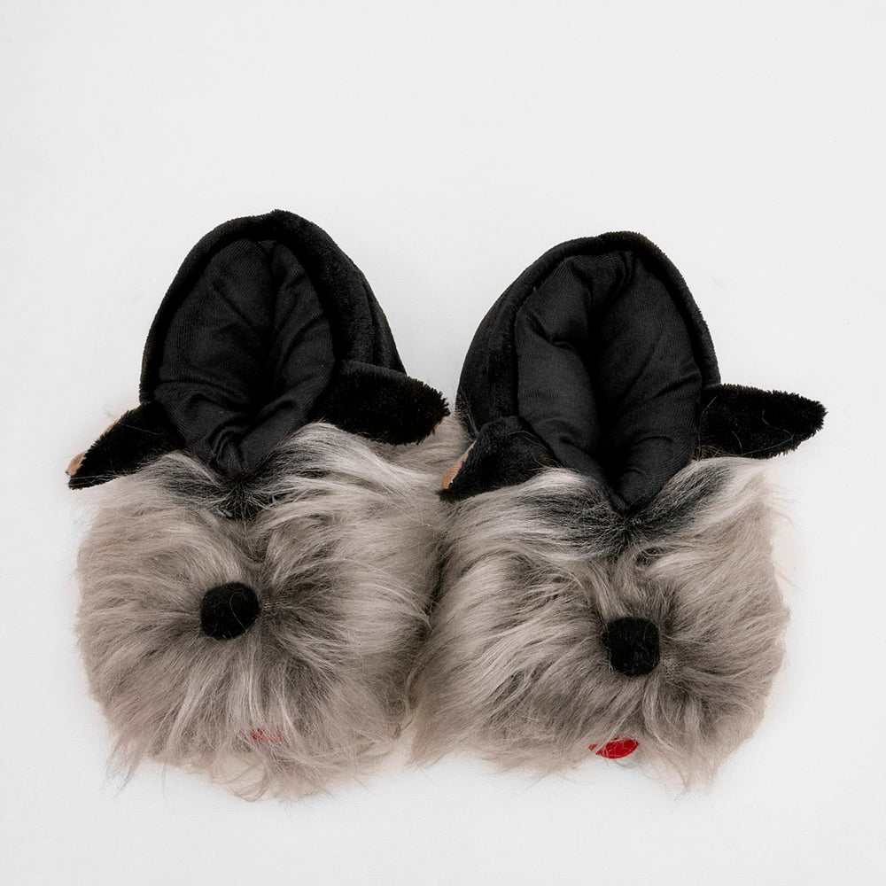 Pakar.com | Tienda online - Pantufla para joven Parvus - Envío gratis desde $500