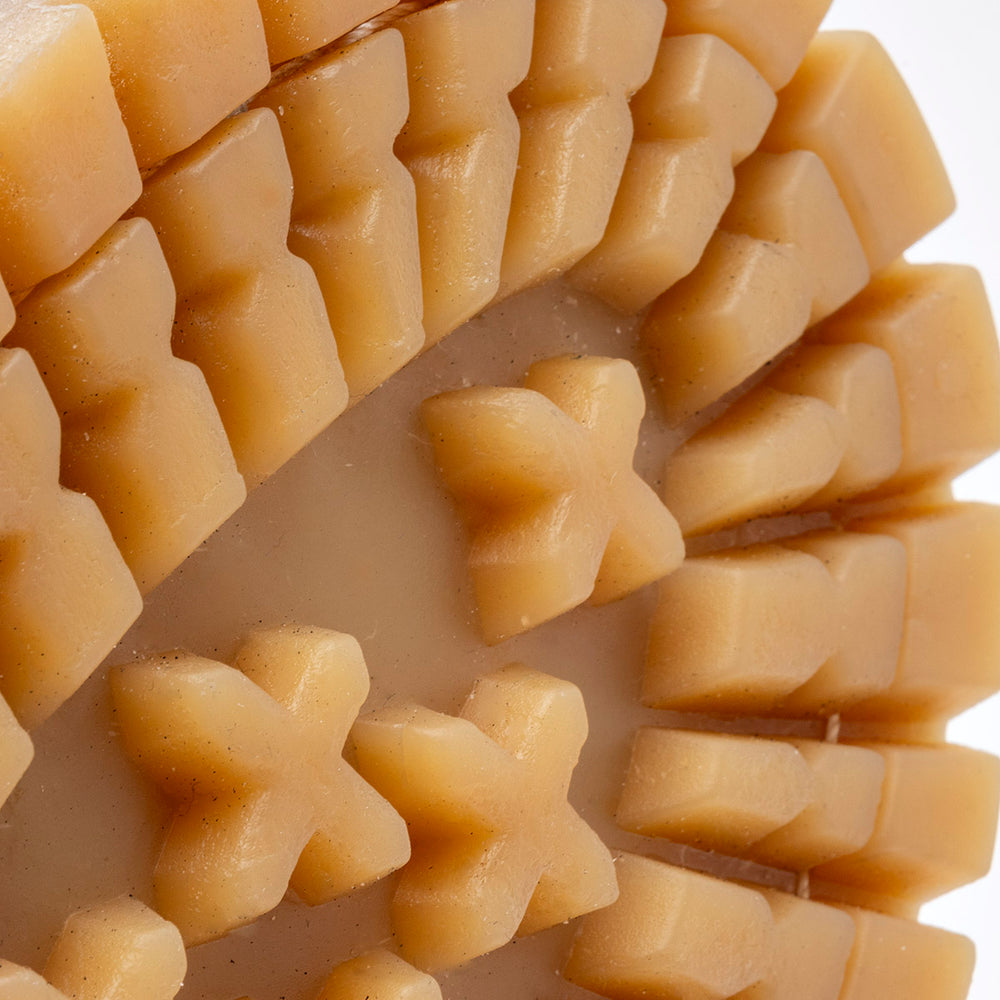 Pakar.com | Tienda online - Bota de senderismo para hombre Jack Rud - Envío gratis desde $500