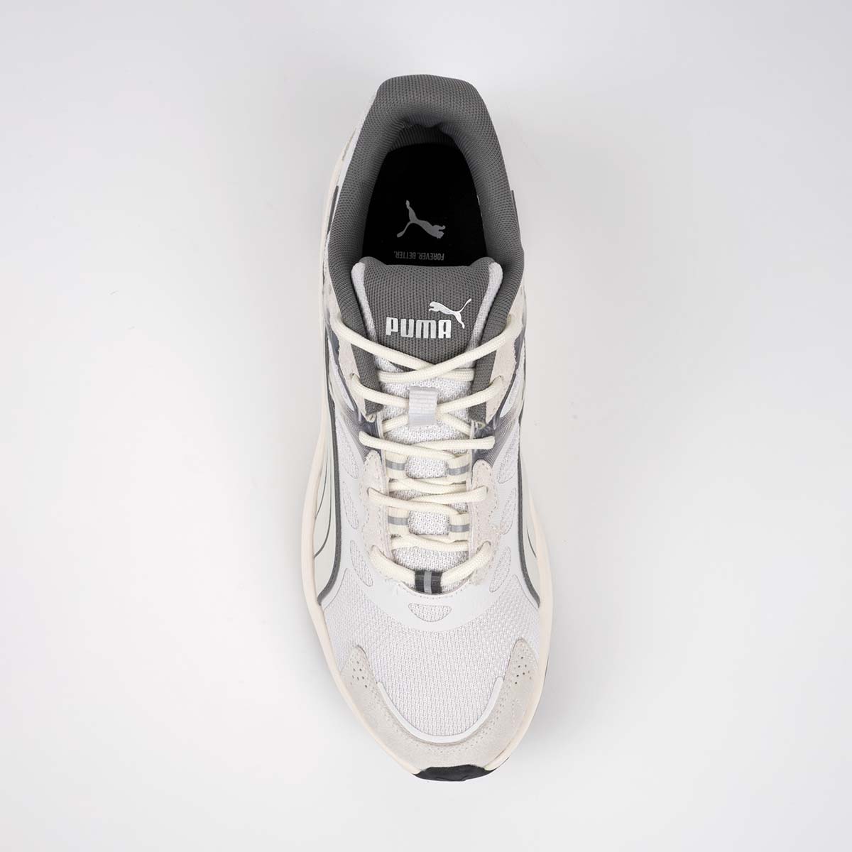 Puma Insphere