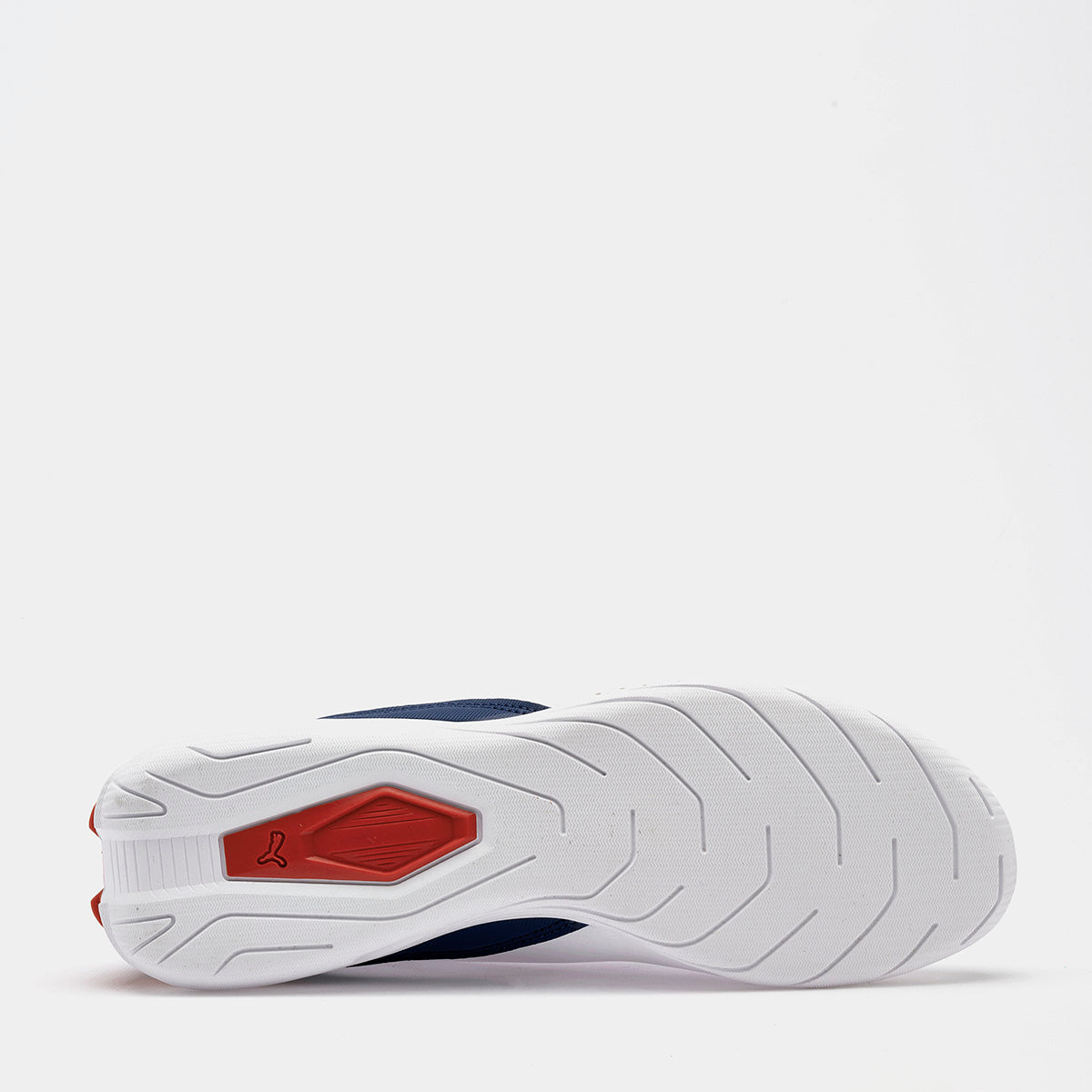 Tenis BMW MMS Drif Cat Decima Jr Puma para Joven